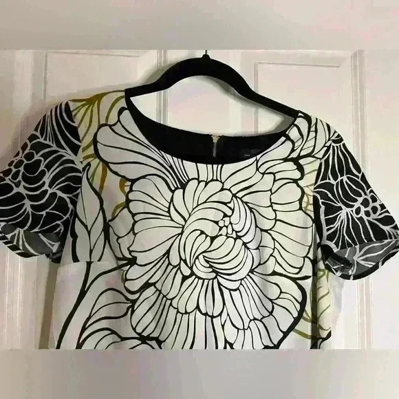 The Limited Shift Dress - Picture 6 of 6